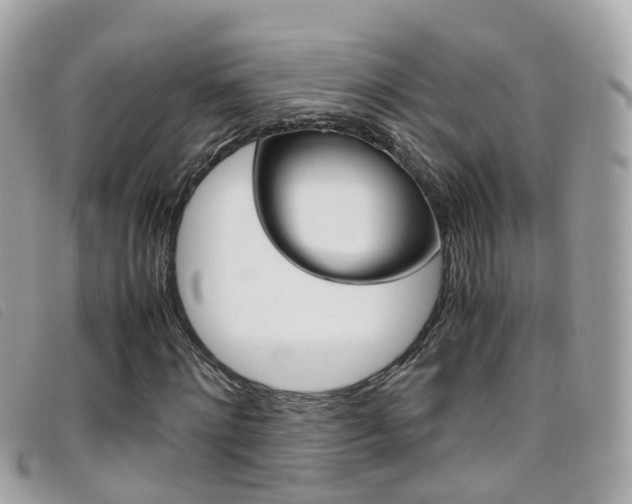 X0000095950868200801110913