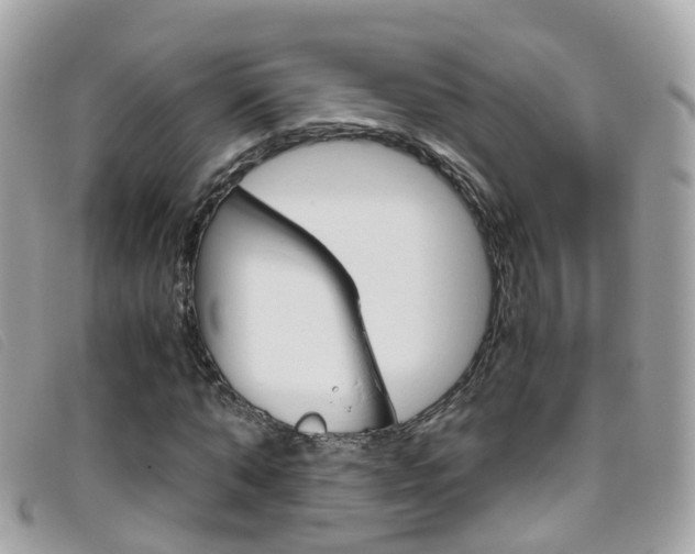X0000095950870200801110913