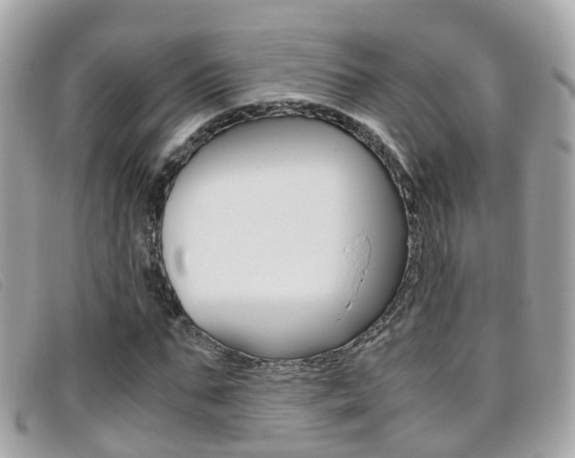 X0000095950871200801110913