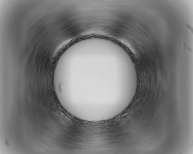 X0000095950872200801110913
