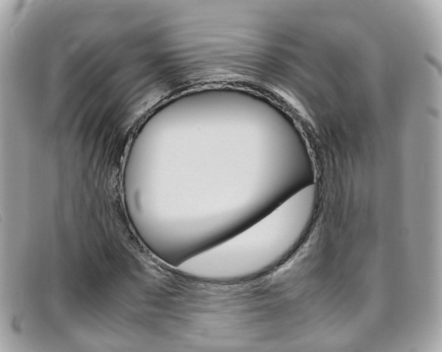 X0000095950873200801110913