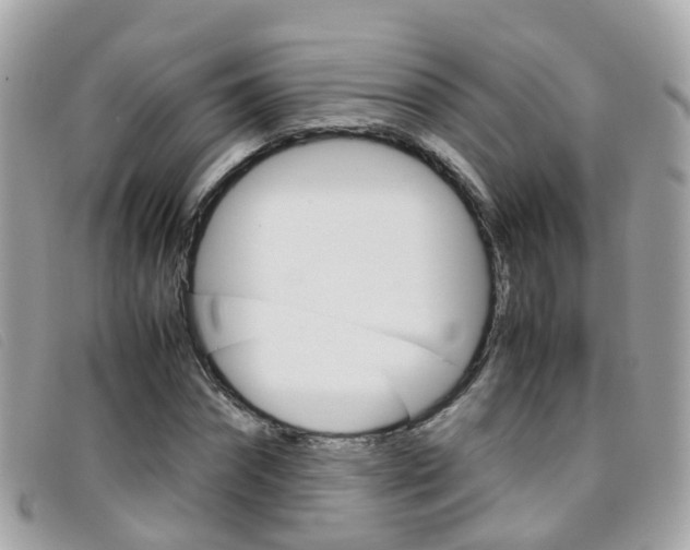 X0000095950874200801110913