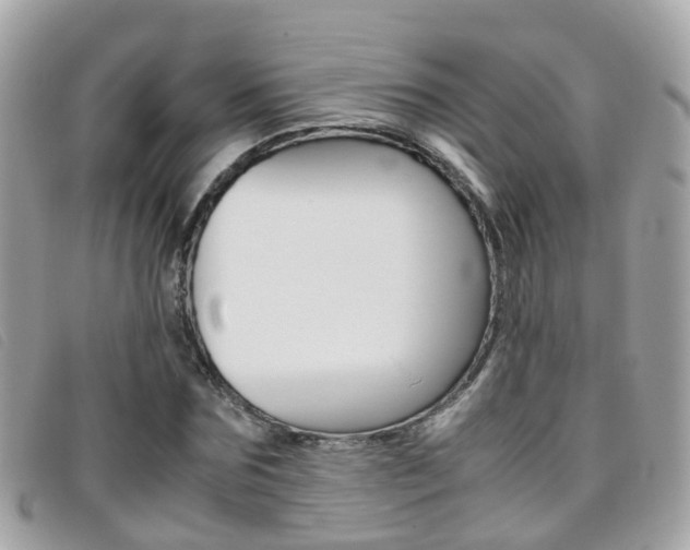 X0000095950875200801110913
