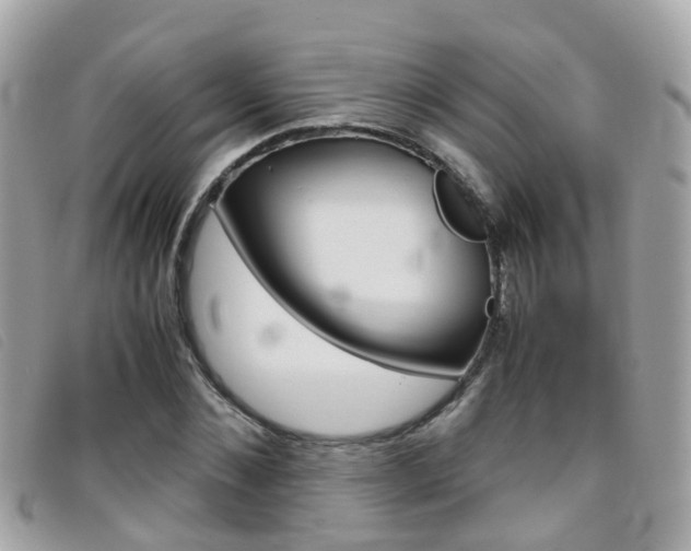 X0000095950876200801110913