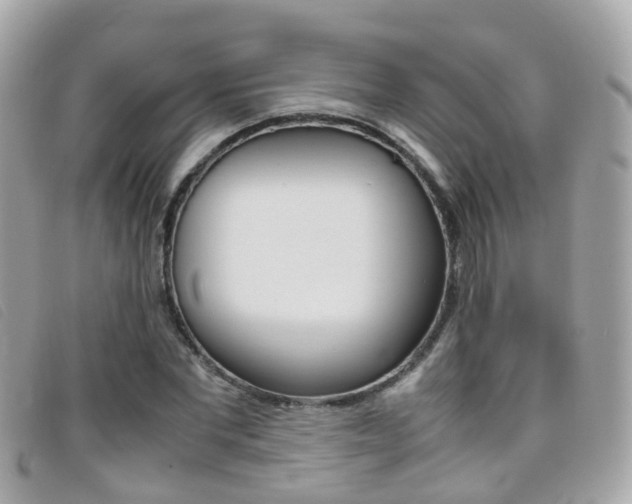 X0000095950877200801110913