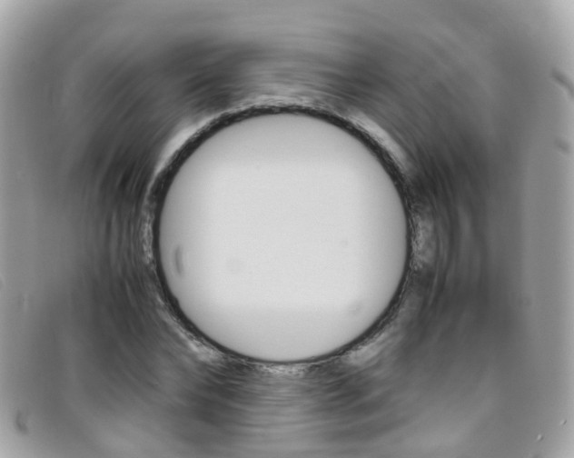 X0000095950878200801110913