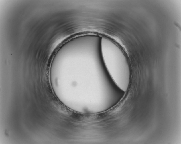 X0000095950879200801110913