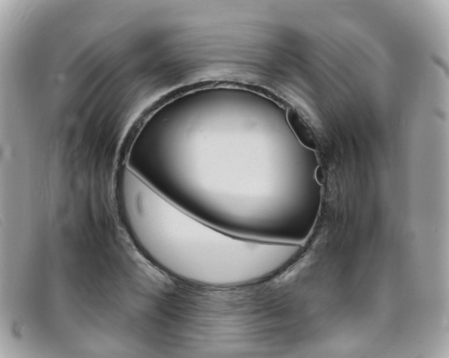 X0000095950880200801110913