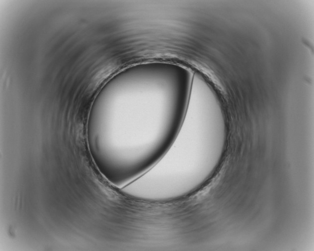 X0000095950881200801110913