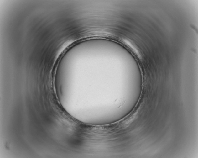 X0000095950883200801110913