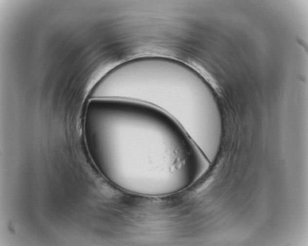 X0000095950885200801110913