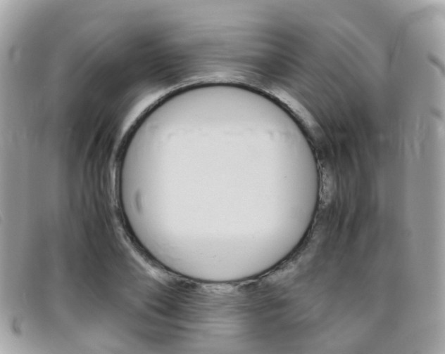 X0000095950886200801110913