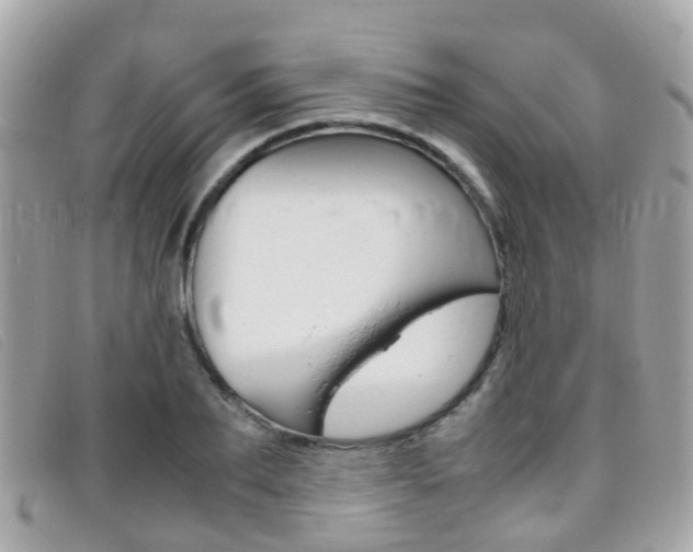 X0000095950887200801110913