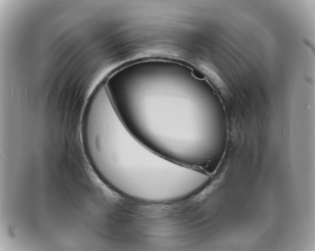 X0000095950888200801110913