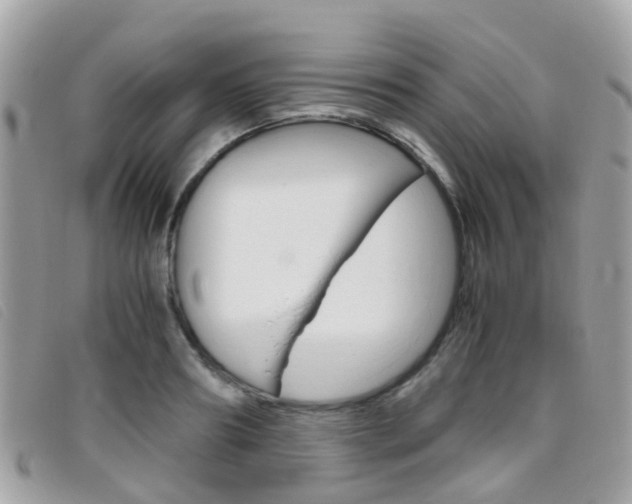 X0000095950890200801110913