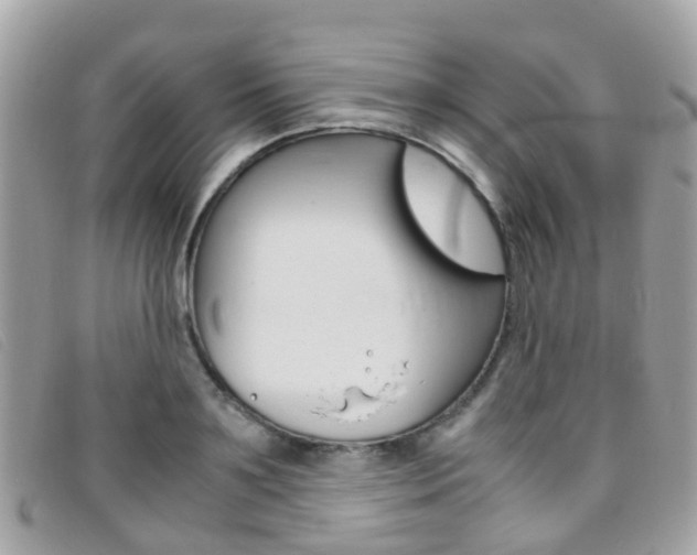 X0000095950891200801110913