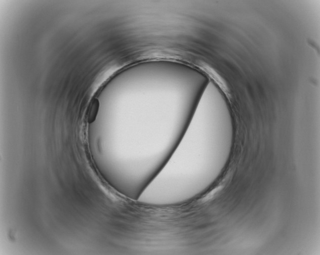 X0000095950893200801110913