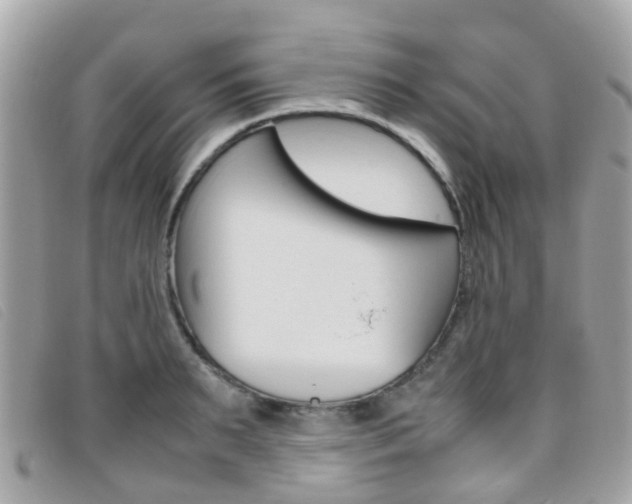 X0000095950895200801110913