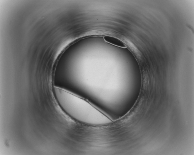 X0000095950896200801110913