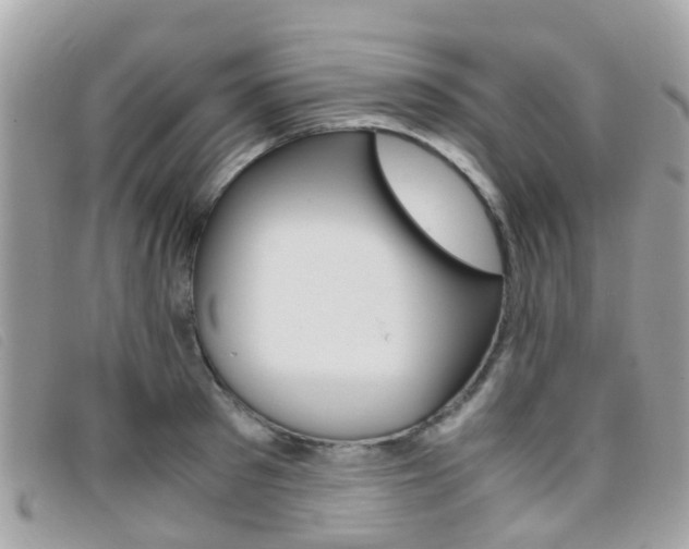 X0000095950897200801110913