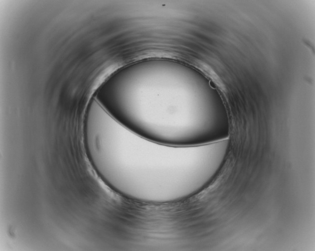 X0000095950898200801110913