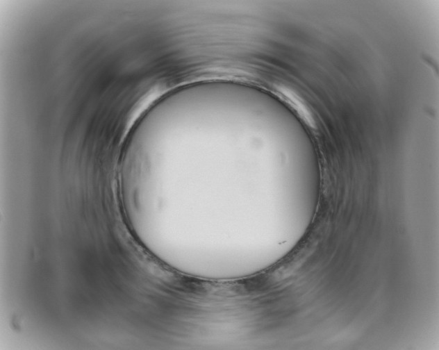 X0000095950899200801110913