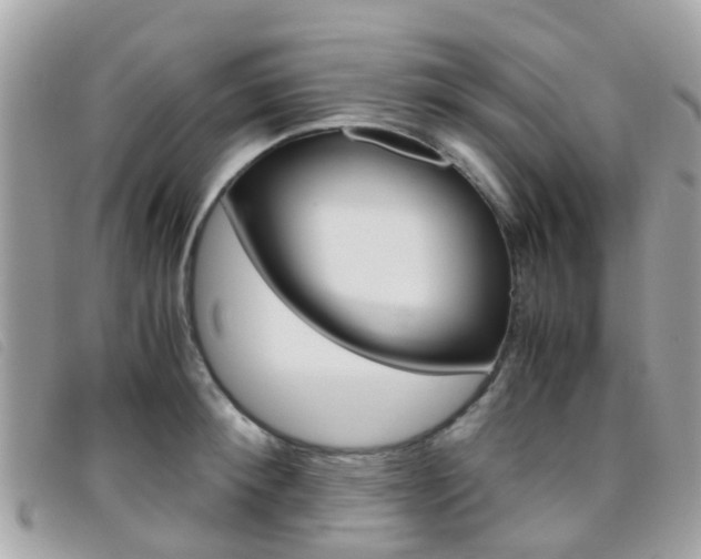 X0000095950900200801110913