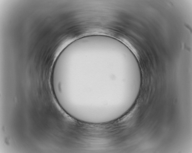 X0000095950901200801110913