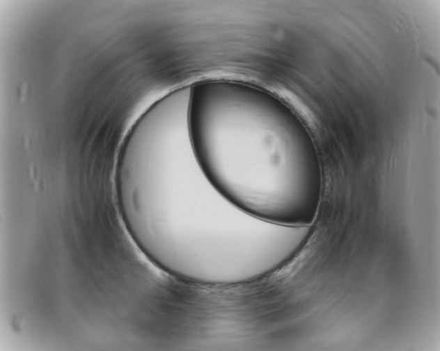 X0000095950902200801110913