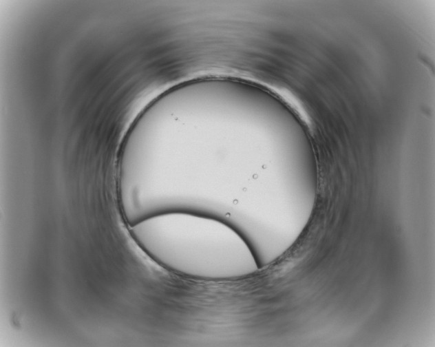 X0000095950903200801110913