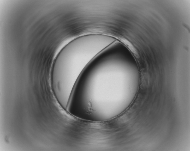 X0000095950904200801110913