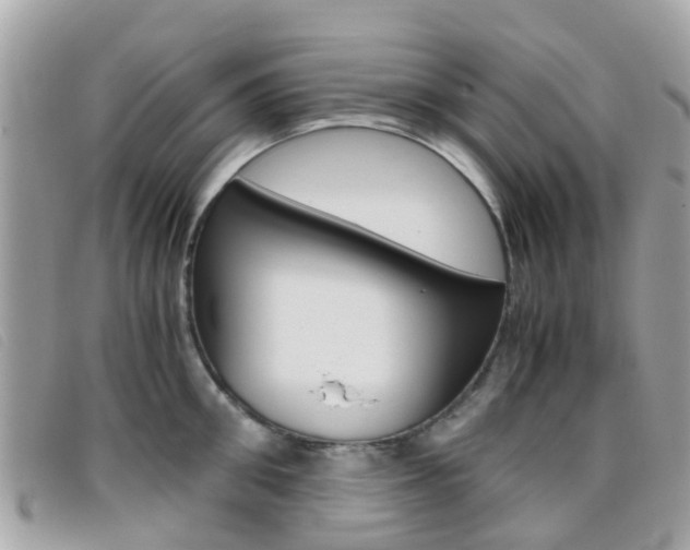 X0000095950906200801110913
