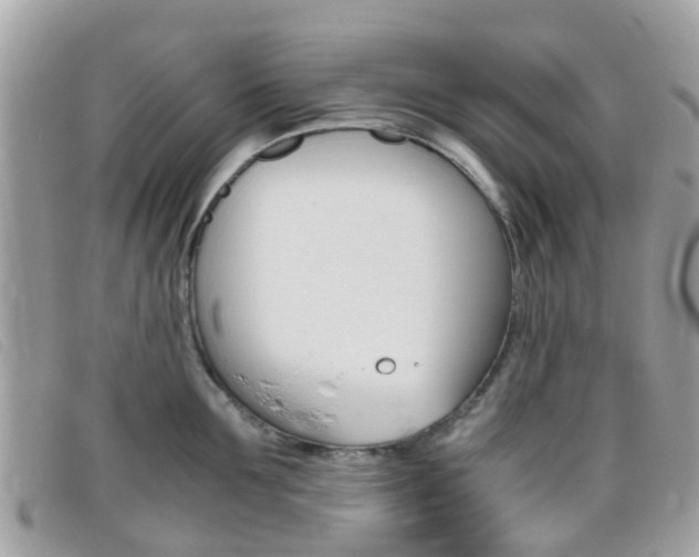 X0000095950907200801110913