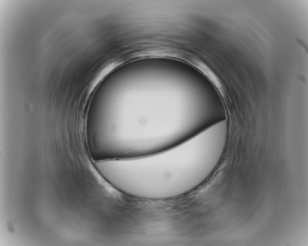X0000095950909200801110913