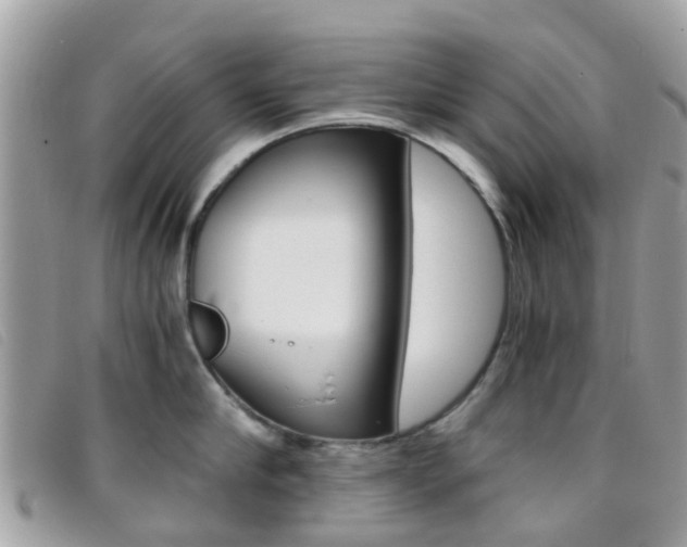 X0000095950910200801110913