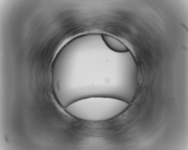 X0000095950911200801110913
