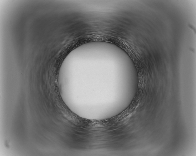 X0000095950913200801110912