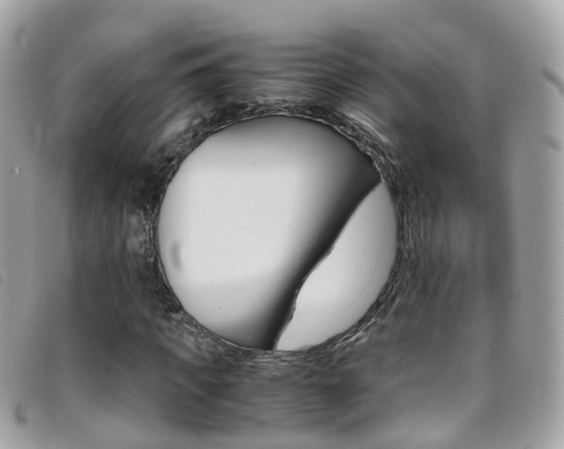 X0000095950917200801110912