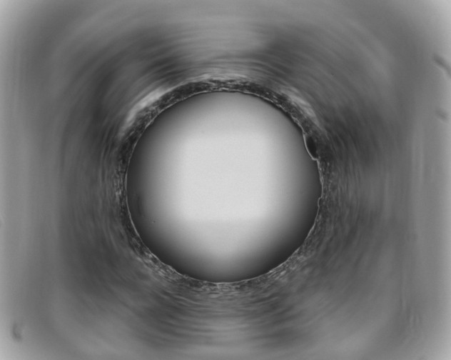X0000095950920200801110912