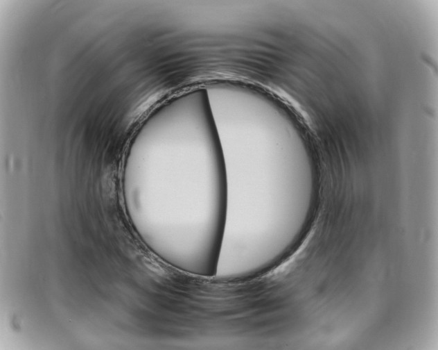 X0000095950921200801110912