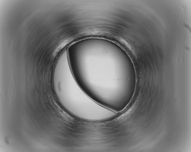 X0000095950922200801110912