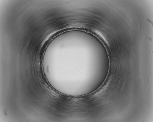 X0000095950923200801110912