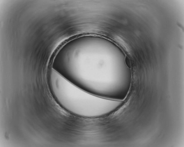 X0000095950924200801110912