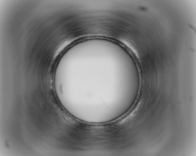 X0000095950925200801110912