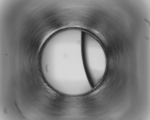 X0000095950926200801110912
