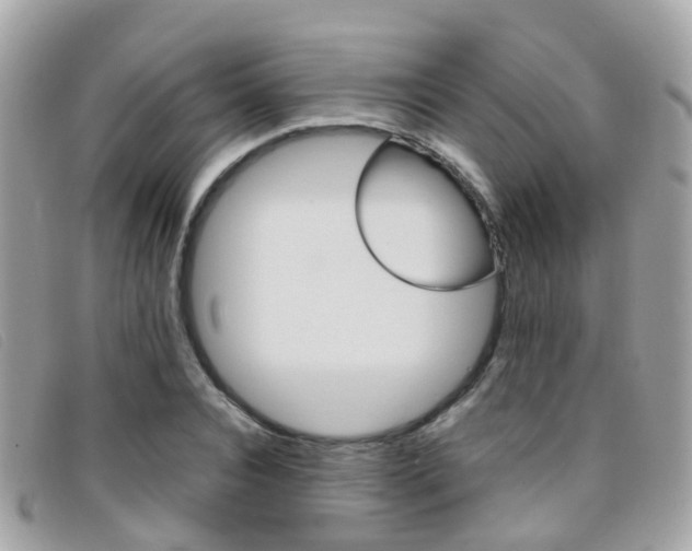 X0000095950928200801110912