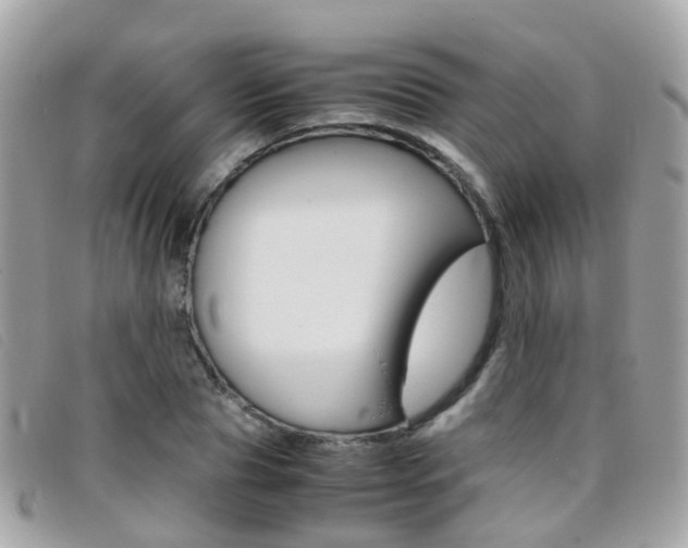 X0000095950929200801110912