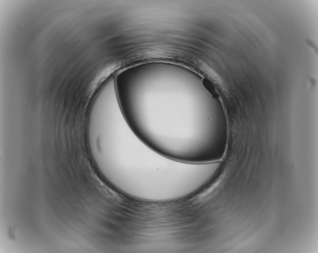 X0000095950930200801110912