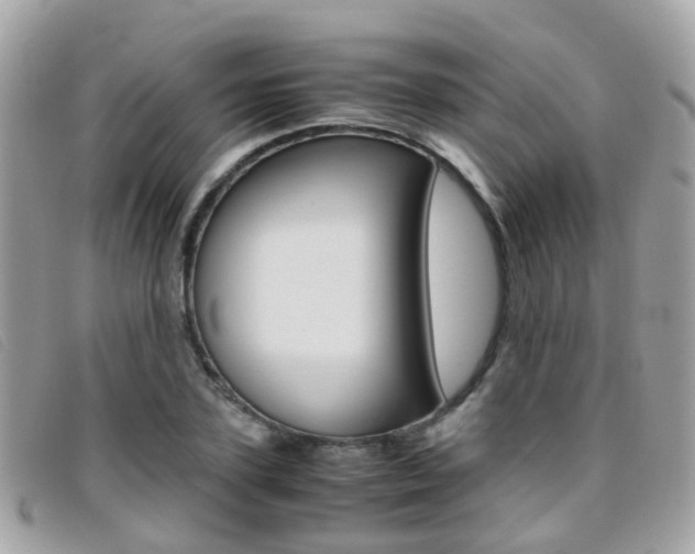 X0000095950931200801110912