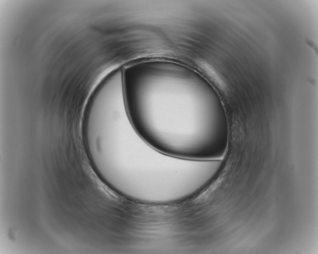 X0000095950932200801110912